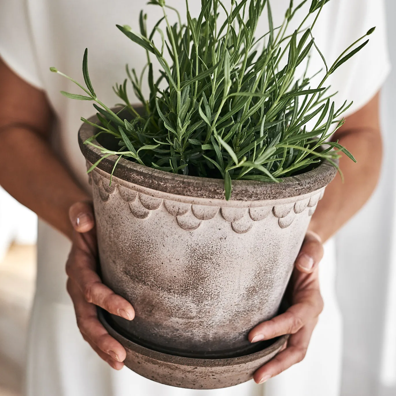 Københavner pote de flores 21 cm, Cinza Bergs Potter