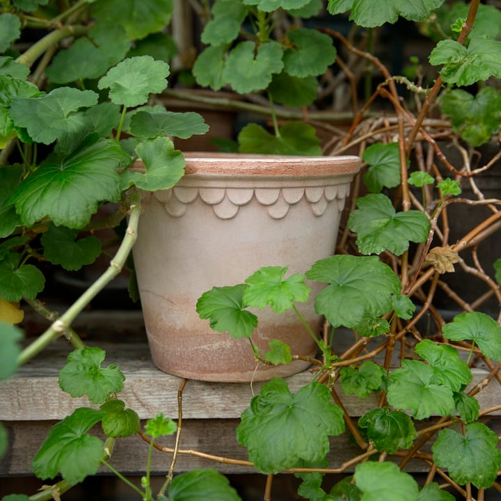 Københavner pote de flores 21 cm, Rosa  Bergs Potter