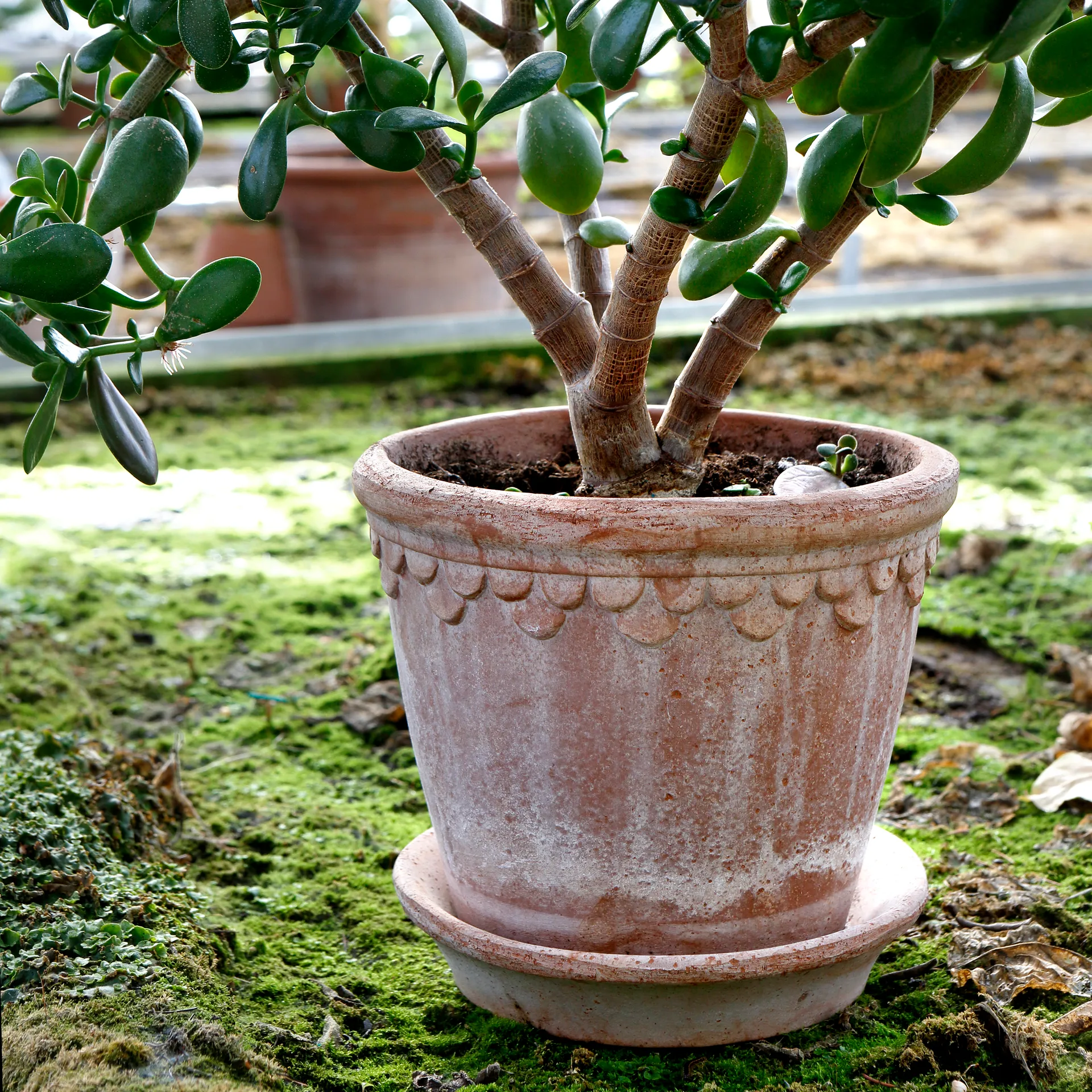 Københavner pote de flores 21 cm, Rosa Bergs Potter