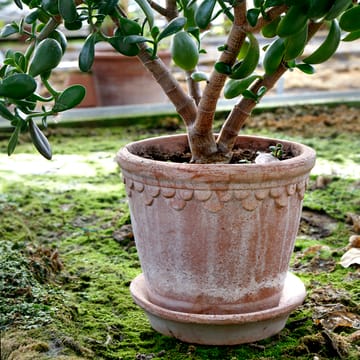 Københavner pote de flores 21 cm - Rosa - Bergs Potter