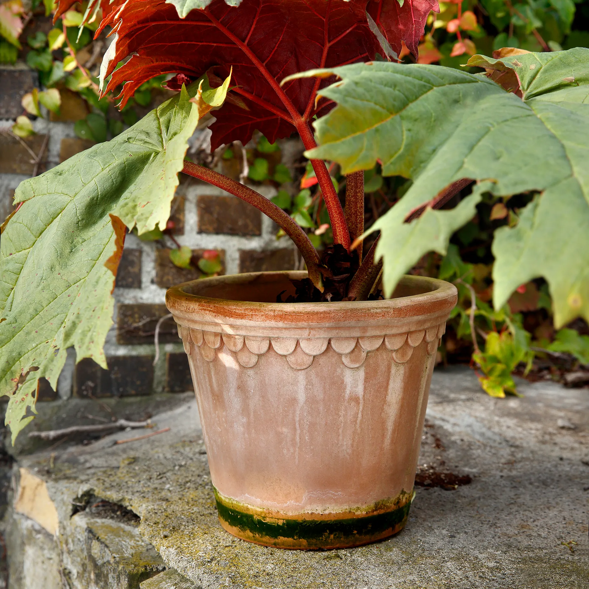 Københavner pote de flores 21 cm, Rosa Bergs Potter