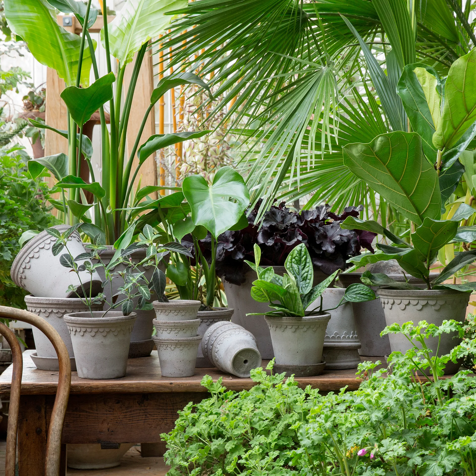 Københavner pote de flores Ø25 cm, Cinza Bergs Potter