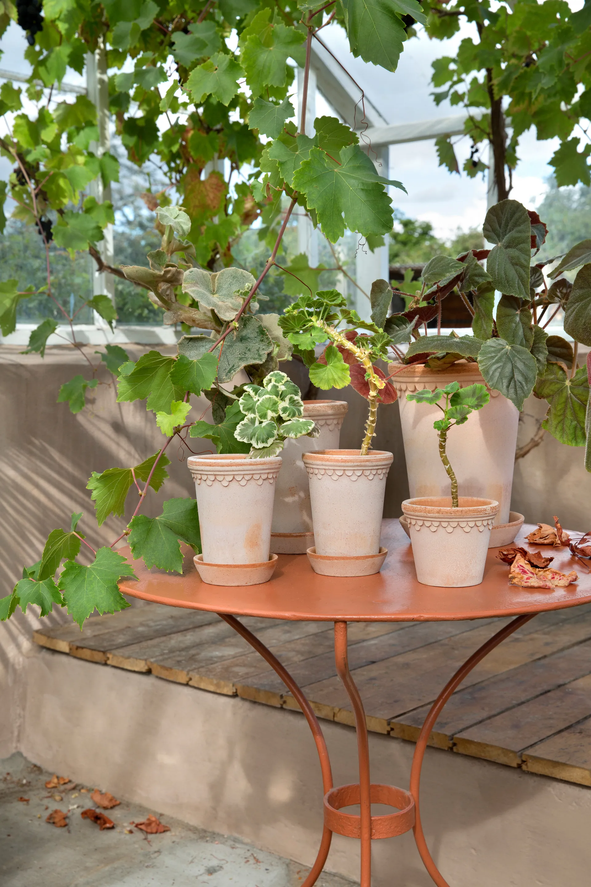 Københavner pote de flores alto Ø10 cm, rosa Bergs Potter