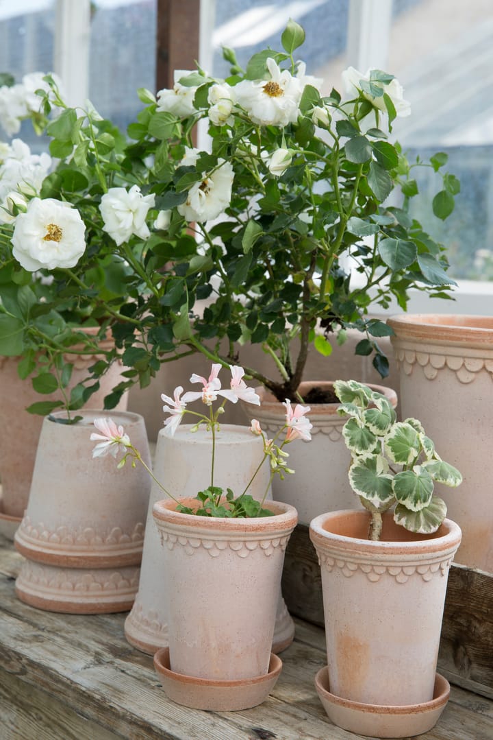 Københavner pote de flores alto Ø10 cm, rosa Bergs Potter