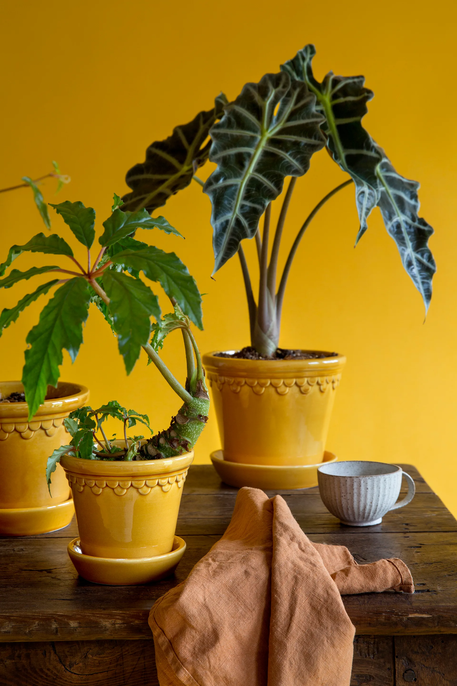 Københavner pote de flores brilhante Ø10 cm, Amarelo Bergs Potter