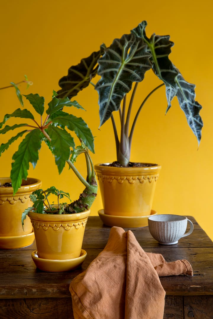Københavner pote de flores brilhante Ø14 cm, amarelo Bergs Potter