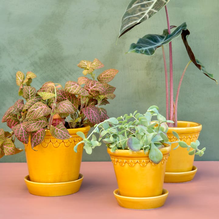 Københavner pote de flores brilhante Ø16 cm, Amarelo Bergs Potter