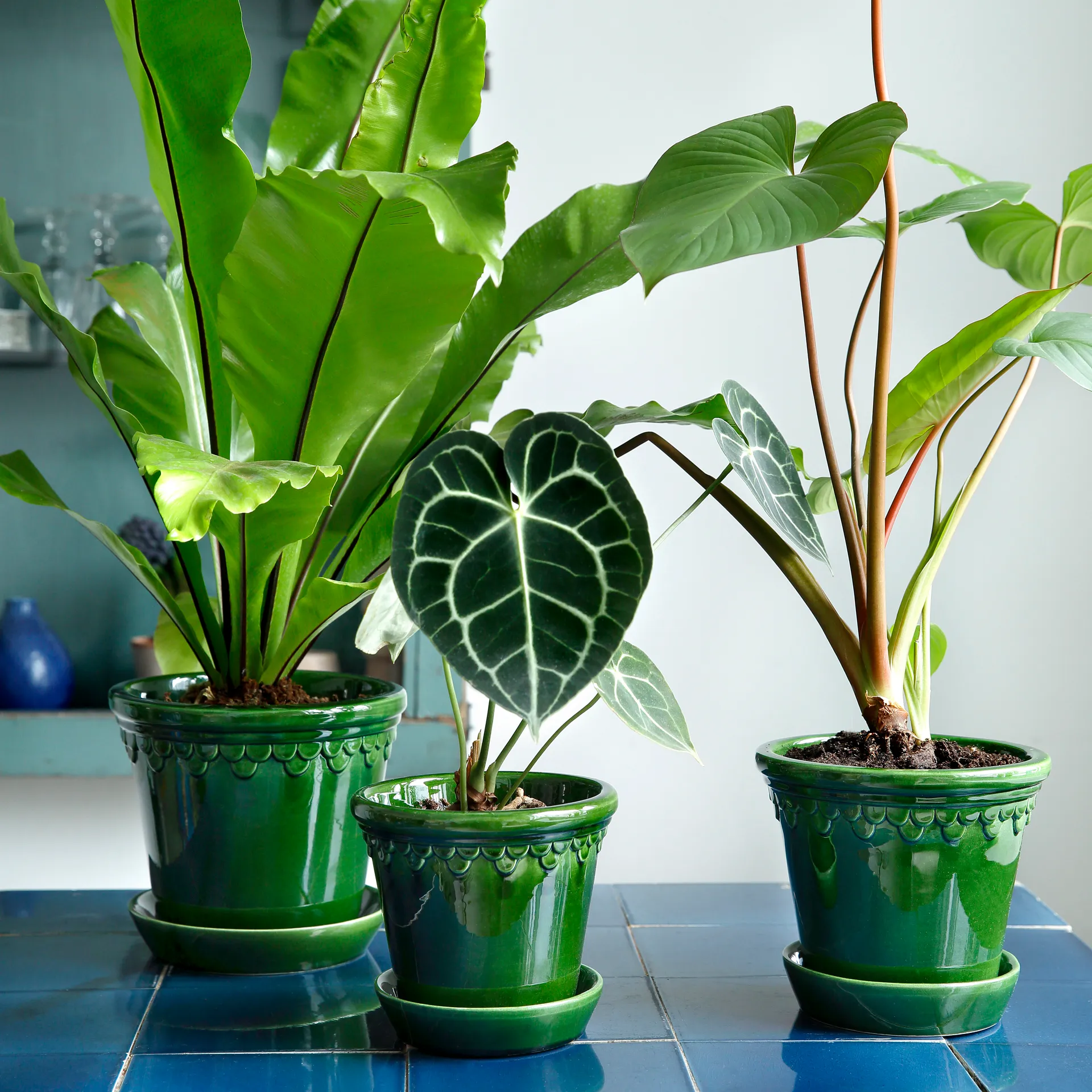 Københavner pote de flores brilhante Ø18 cm, Verde Bergs Potter