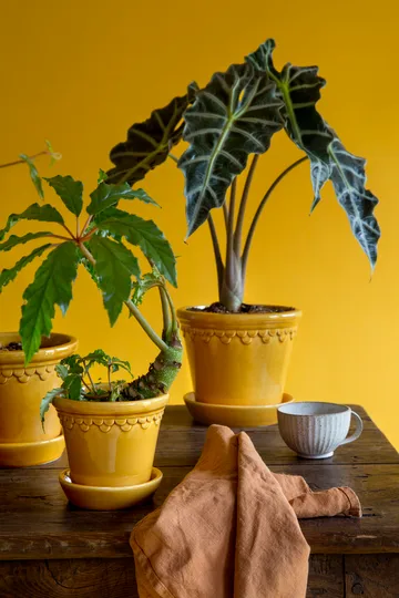 Københavner pote de flores brilhante - Amarelo, Ø12 cm - Bergs Potter