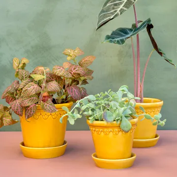 Københavner pote de flores brilhante - Amarelo, Ø18 cm - Bergs Potter