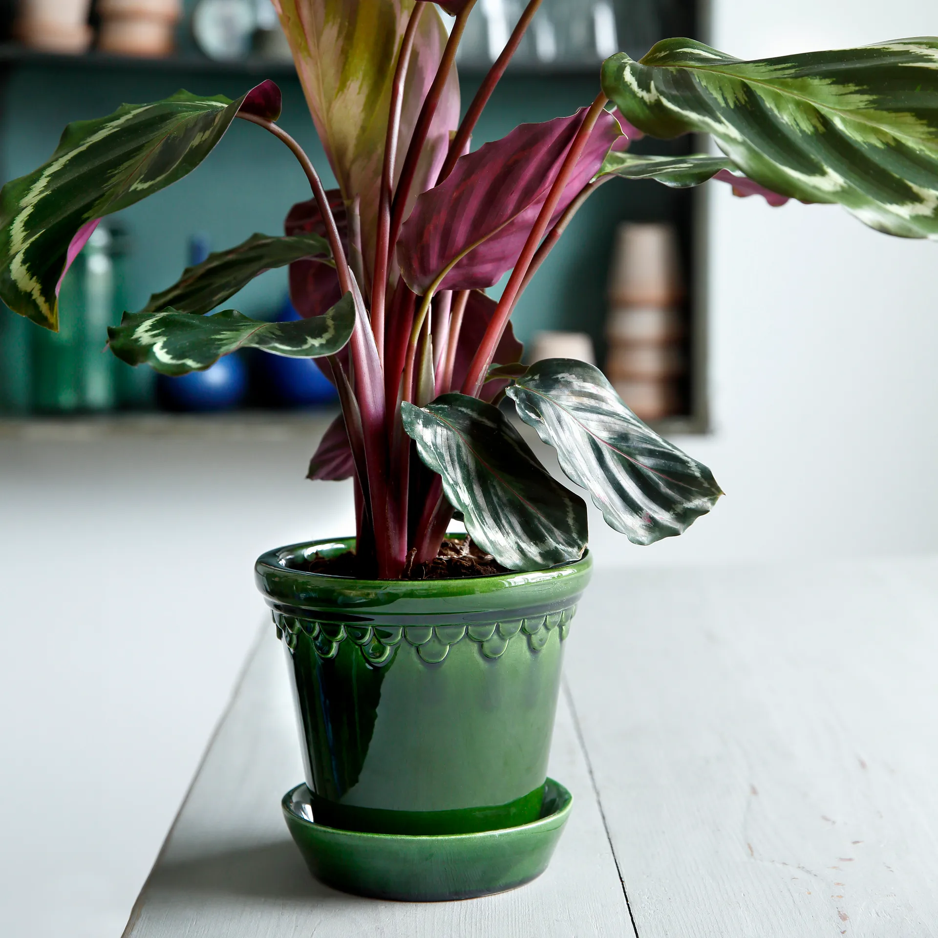 Københavner pote de flores brilhante, Verde, Ø18 cm Bergs Potter