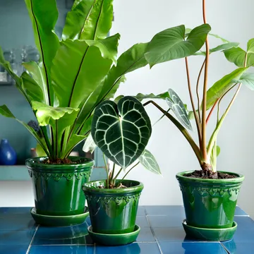 Københavner pote de flores brilhante - Verde, Ø18 cm - Bergs Potter