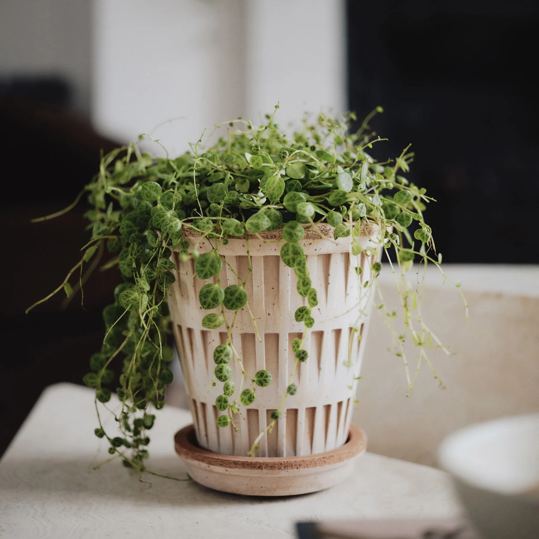 Pantheon vaso cru, Rosa, Ø14 cm Bergs Potter