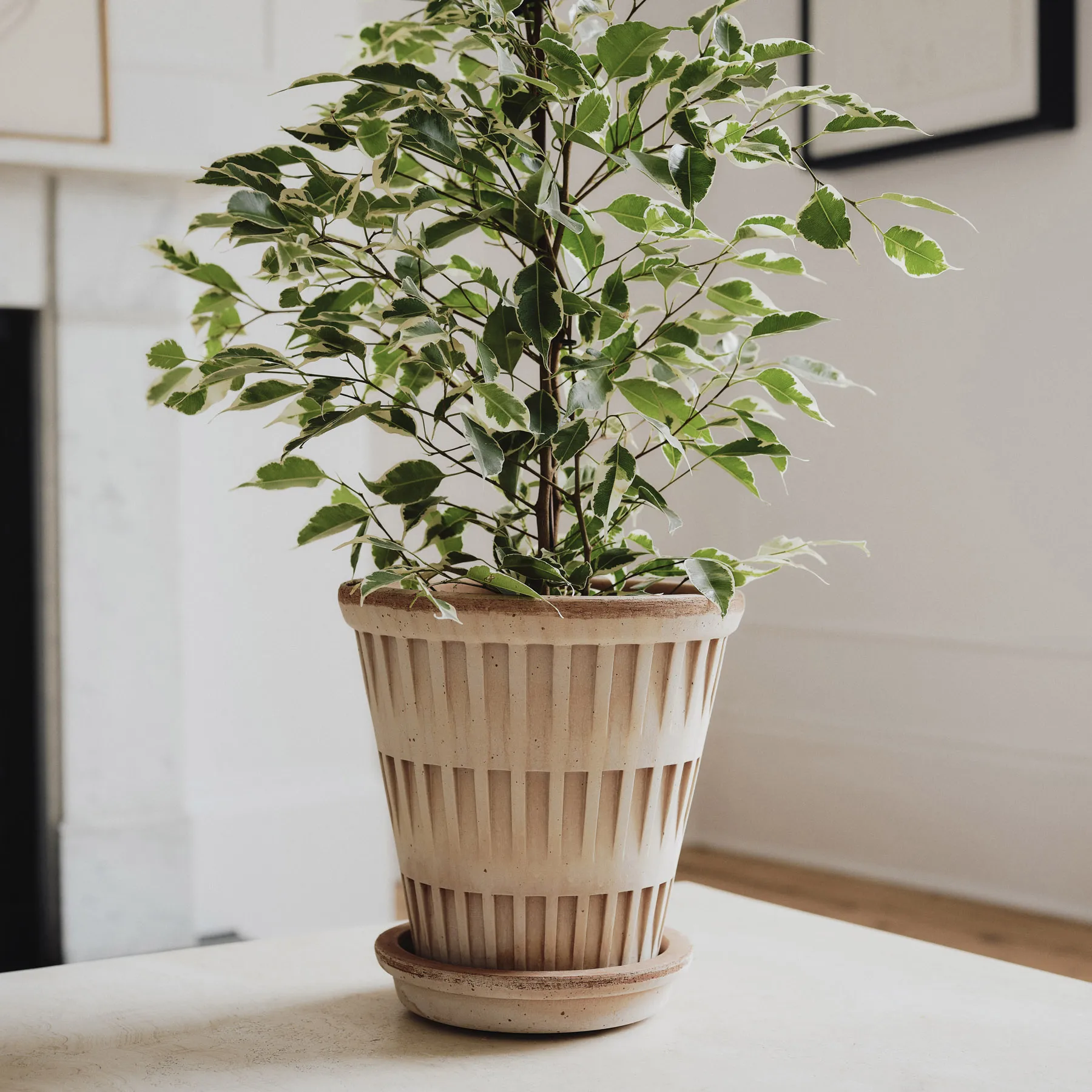 Pantheon vaso cru, Rosa, Ø21 cm Bergs Potter