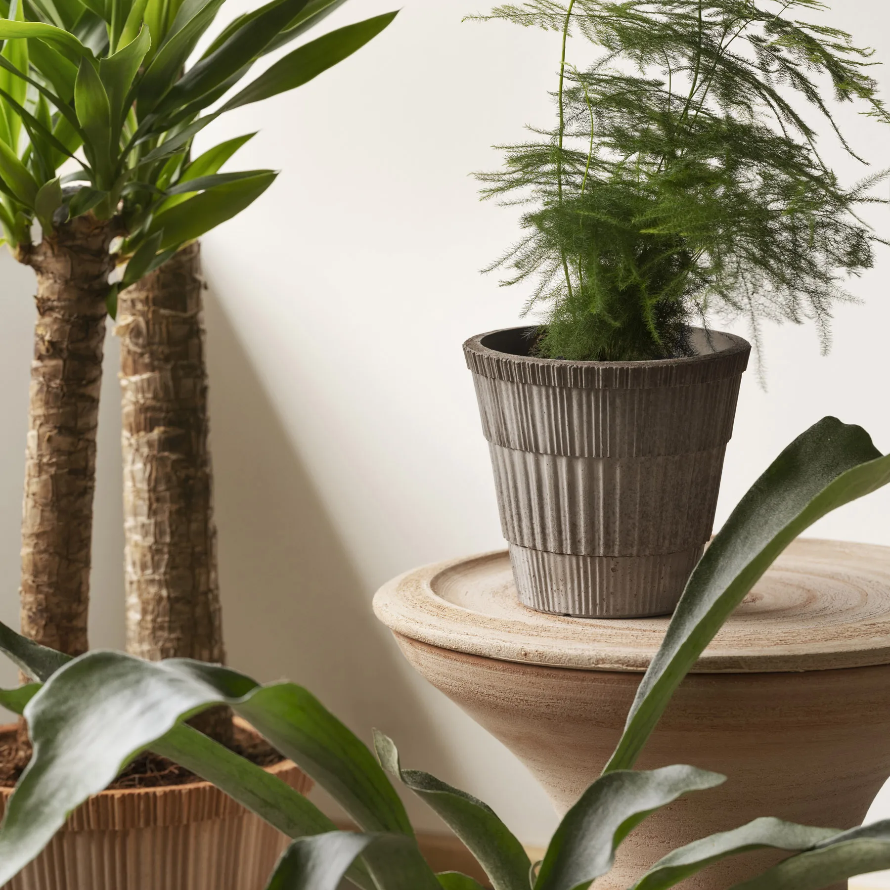 Vaso com prato Atlas raw, Cinza, Ø18 cm Bergs Potter