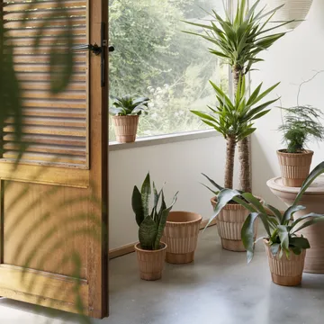 Vaso com prato Atlas raw - Rosa, Ø14 cm - Bergs Potter