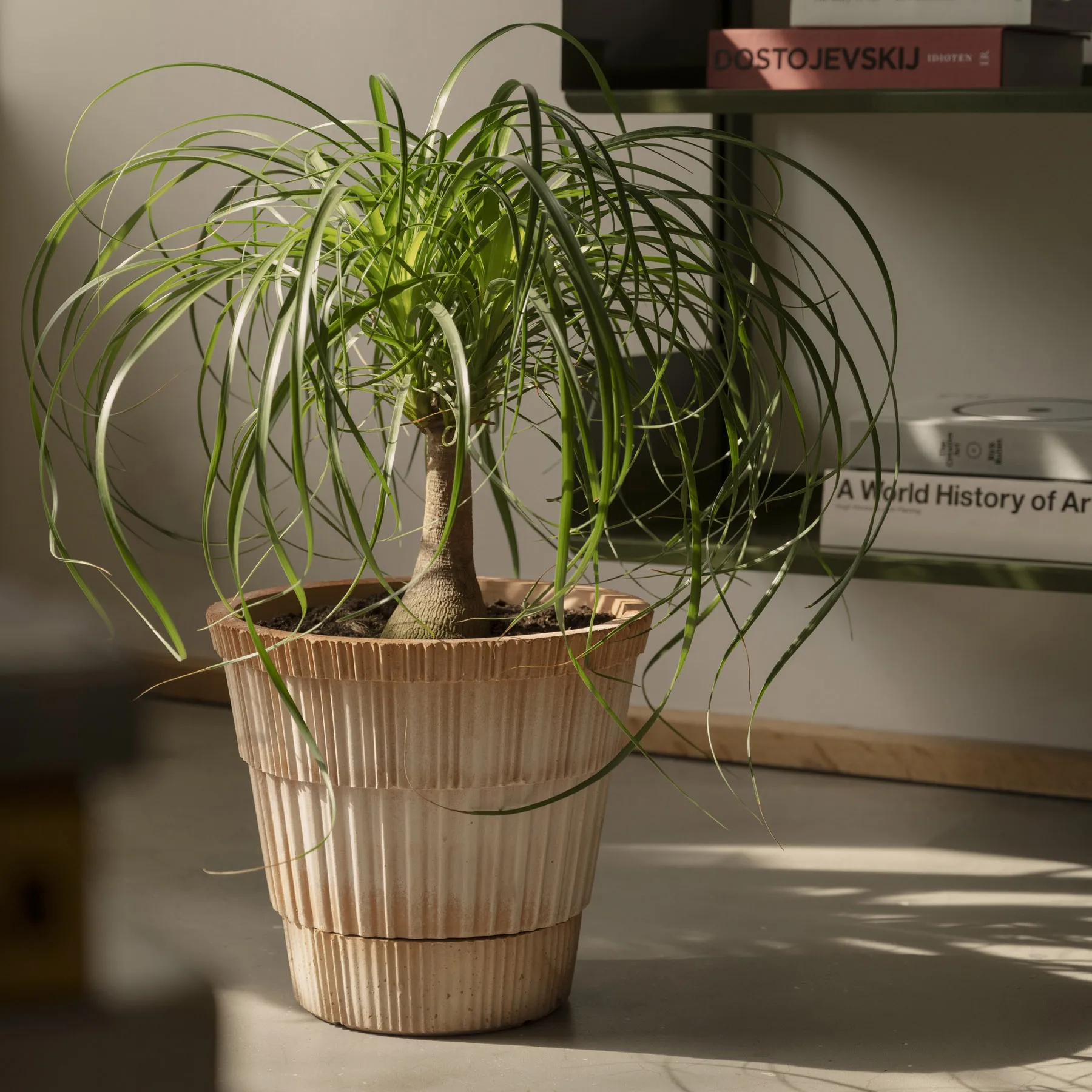 Vaso com prato Atlas raw, Rosa, Ø21 cm Bergs Potter