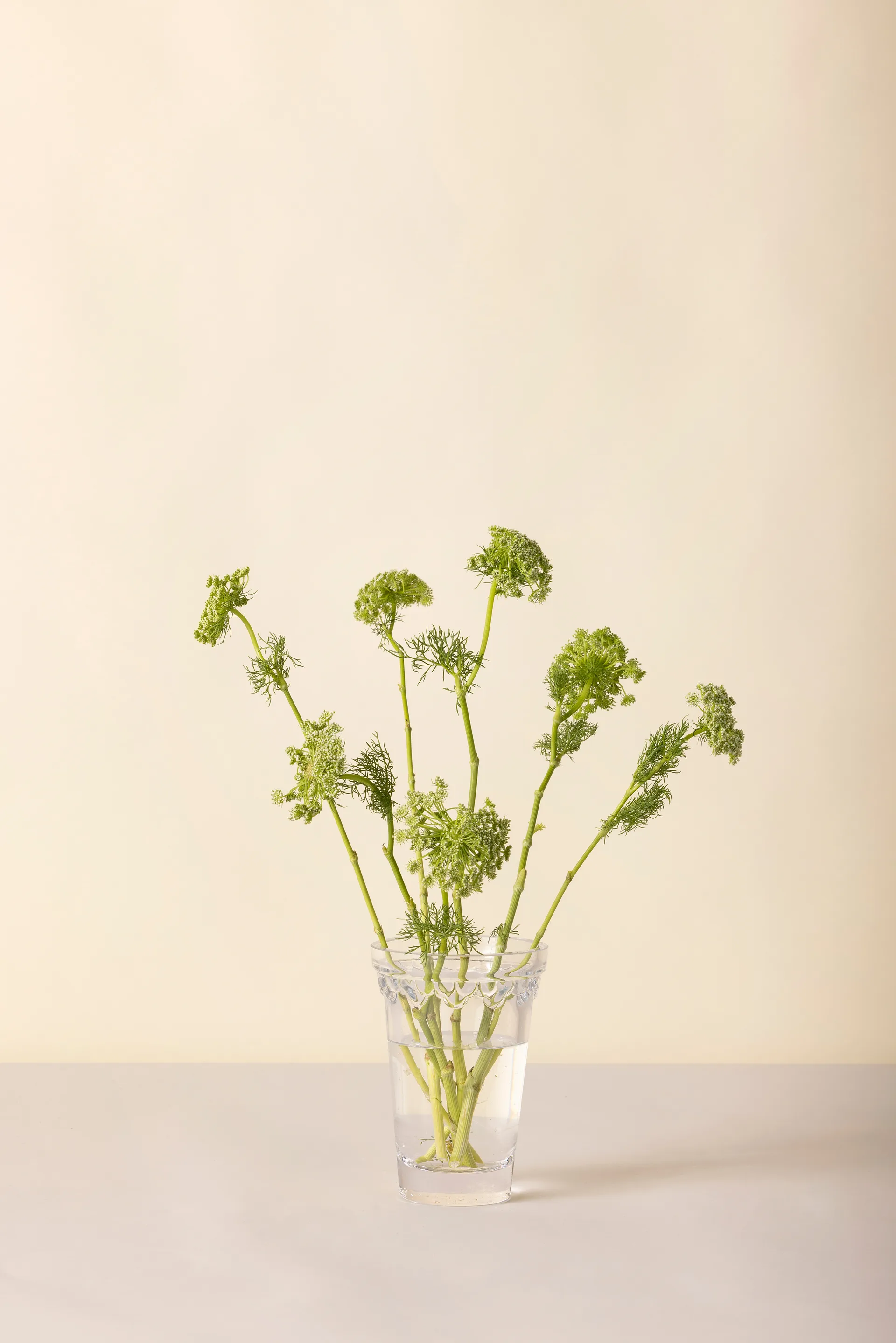 Vaso Copenhaga, Transparente, 18,5 cm Bergs Potter