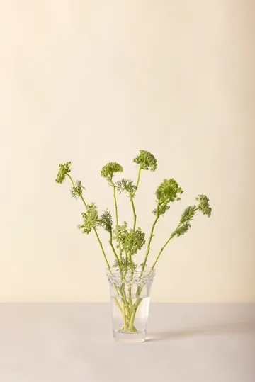 Vaso Copenhaga - Transparente, 18,5 cm - Bergs Potter