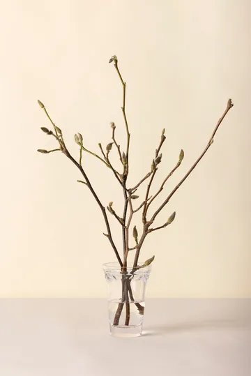 Vaso Copenhaga - Transparente, 18,5 cm - Bergs Potter