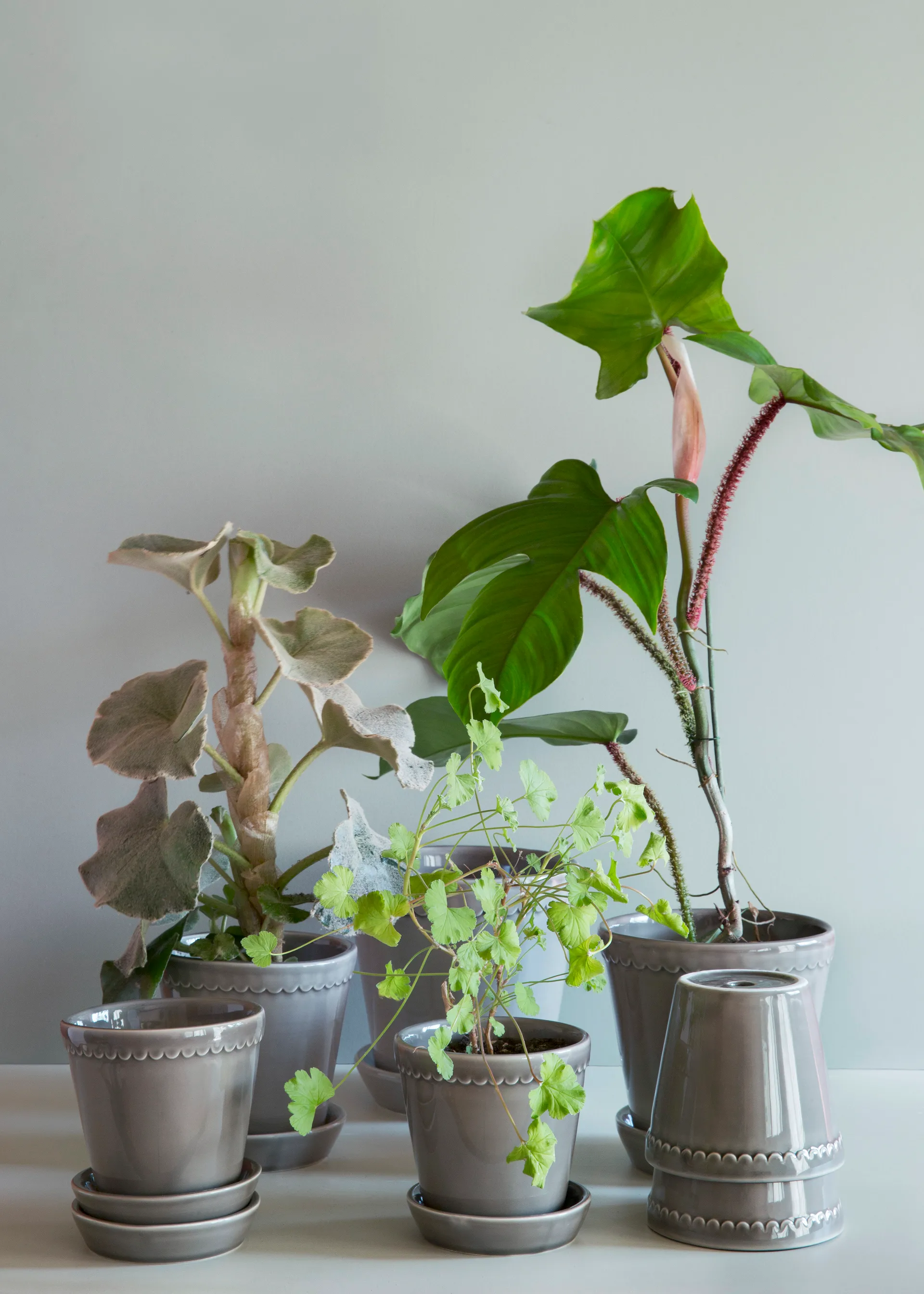 Vaso de flores Helena brilhante Ø18 cm, cinza pérola Bergs Potter