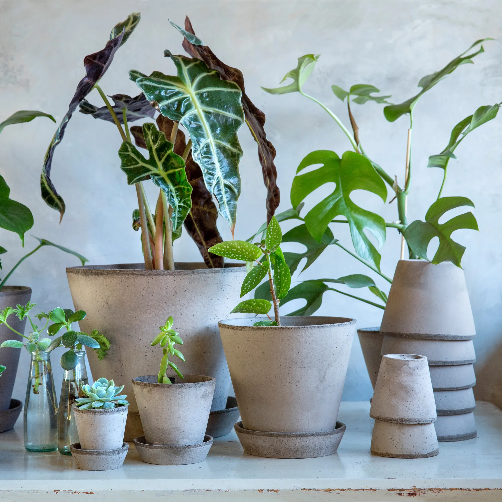 Vaso de flores Julie Ø17 cm, Cinza Bergs Potter