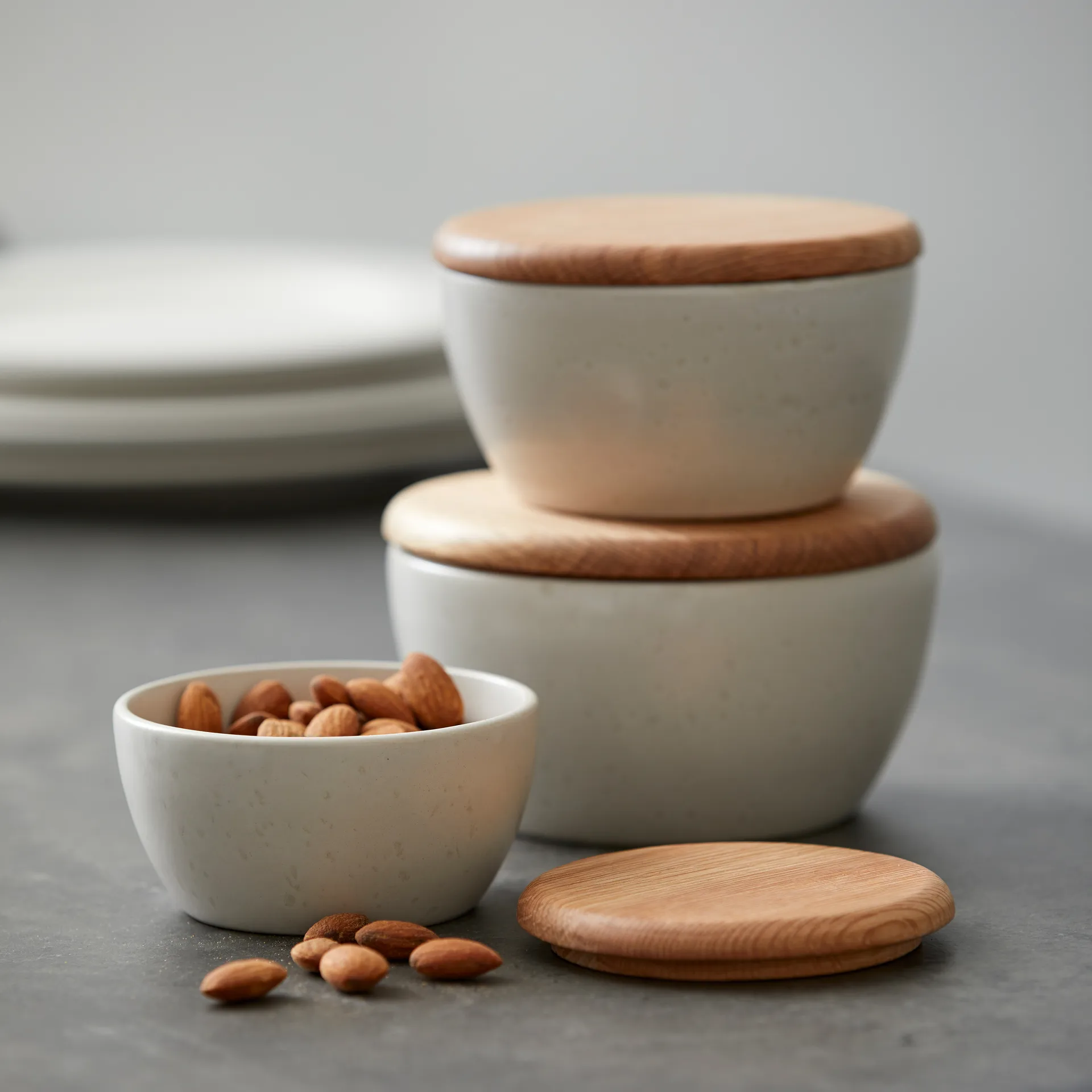 Tampa Bitz 10 cm, carvalho Bitz