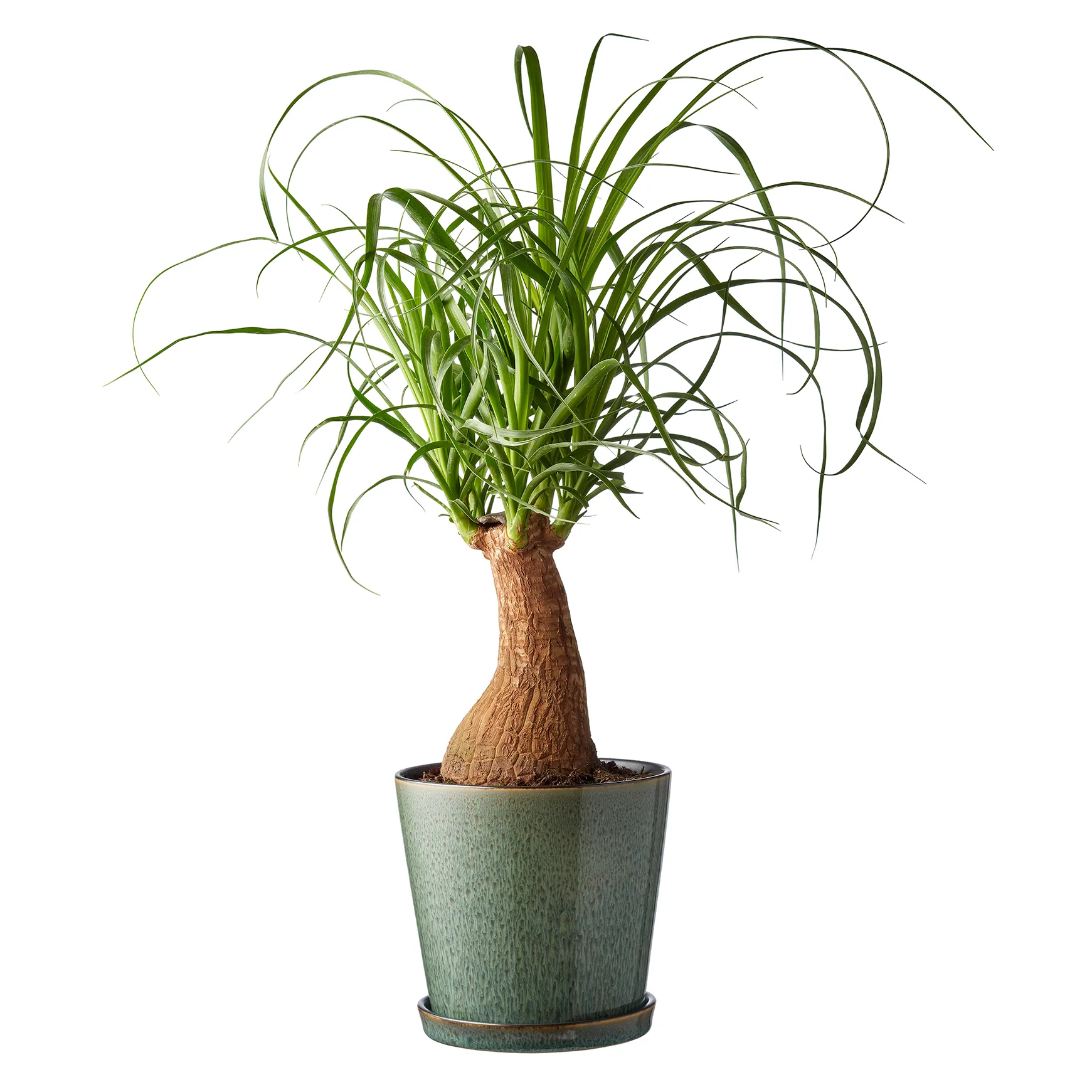 Vaso de flores com prato Bitz ø14 cm, verde-preto Bitz
