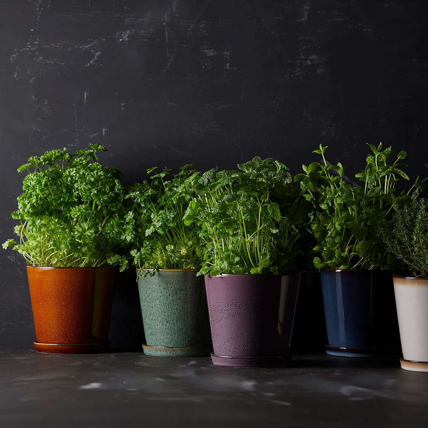 Vaso de flores com prato Bitz ø14 cm, verde-preto Bitz