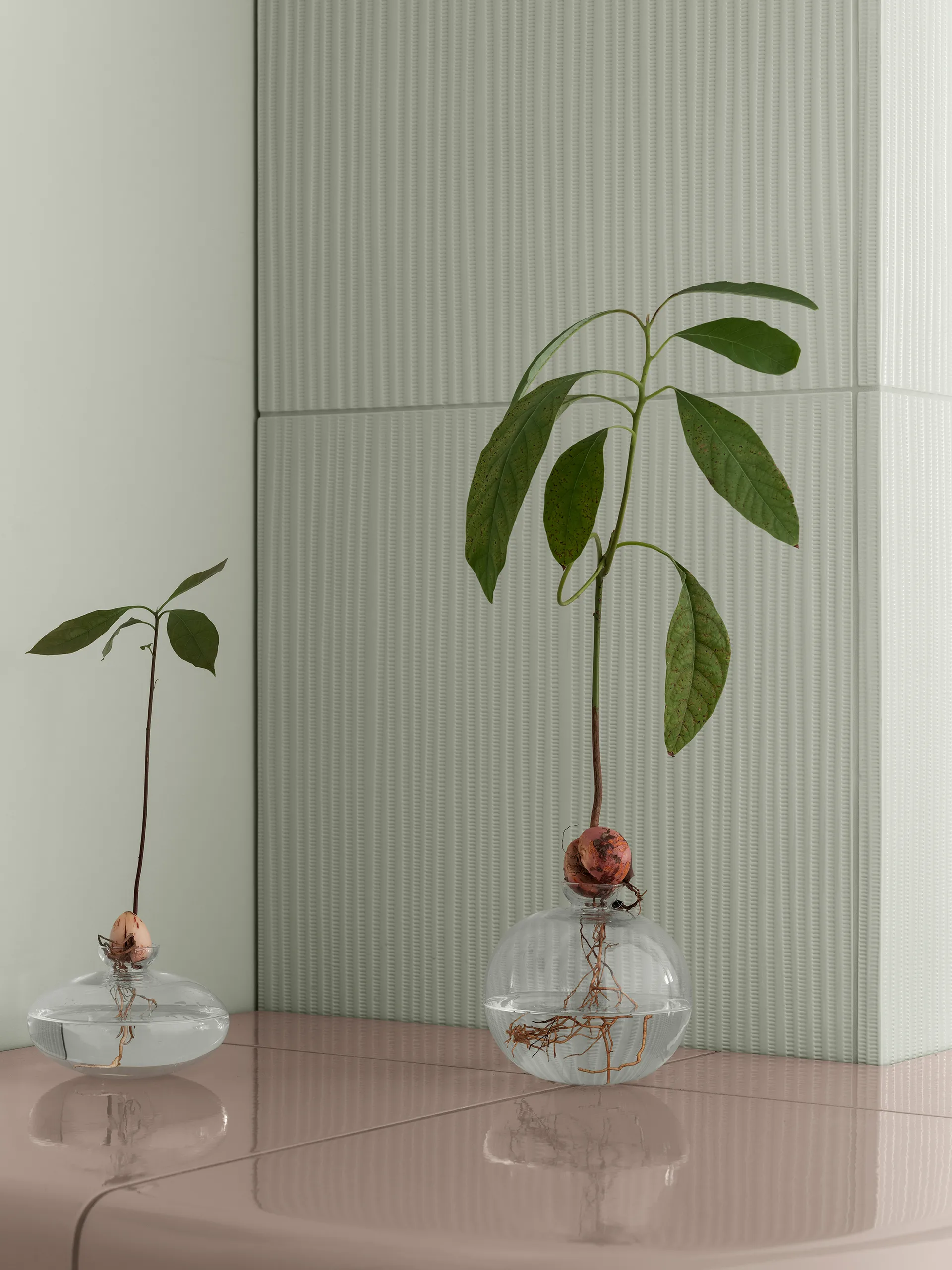 Avo vaso 14,5 cm, Claro blomus