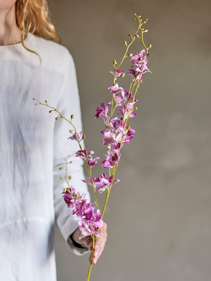 Stem orquídea de cera, Pink Bloomingville