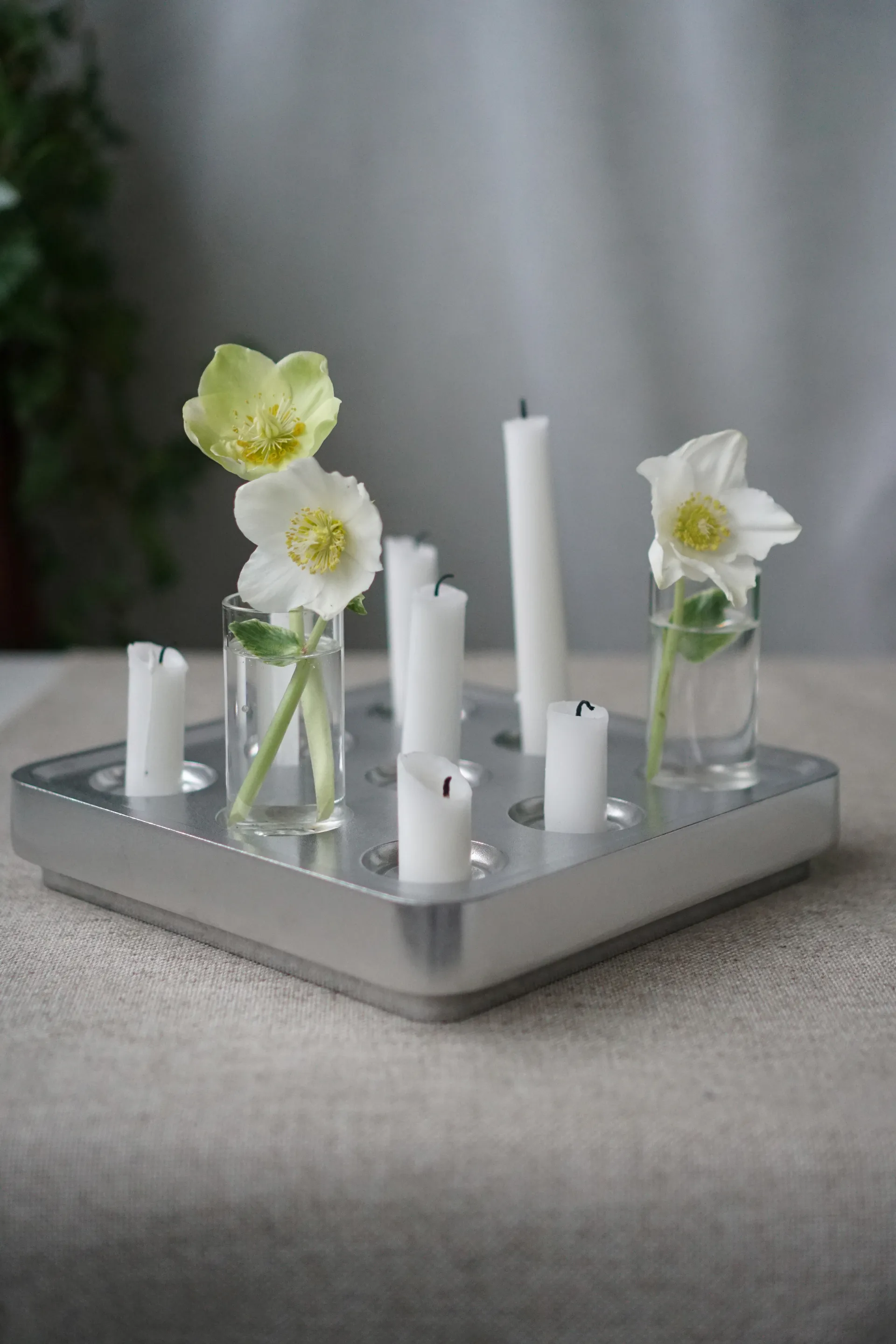 Bola polida Stumpastaken, Pequeno Born In Sweden