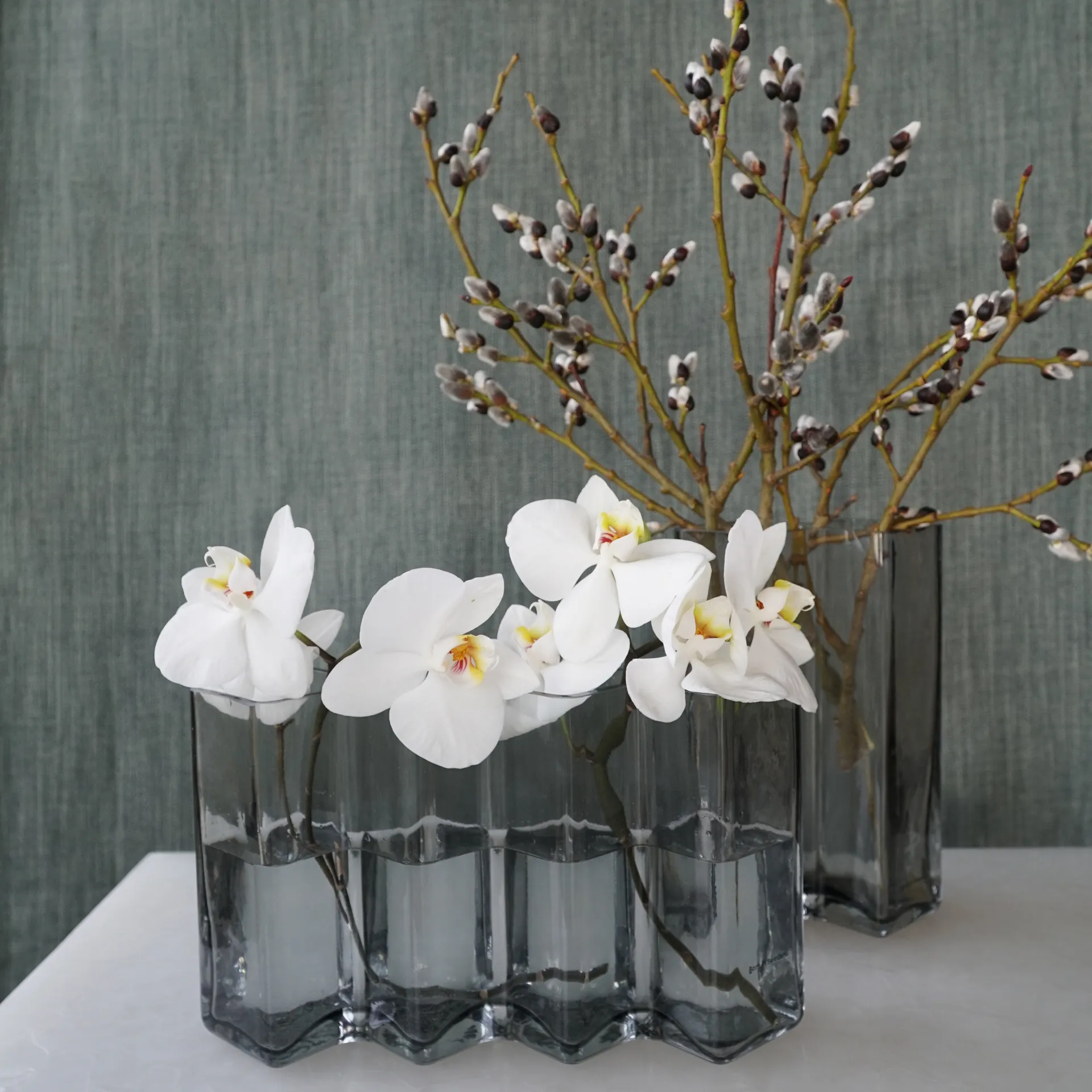 Fila vaso quatro câmaras, Cinza Born In Sweden