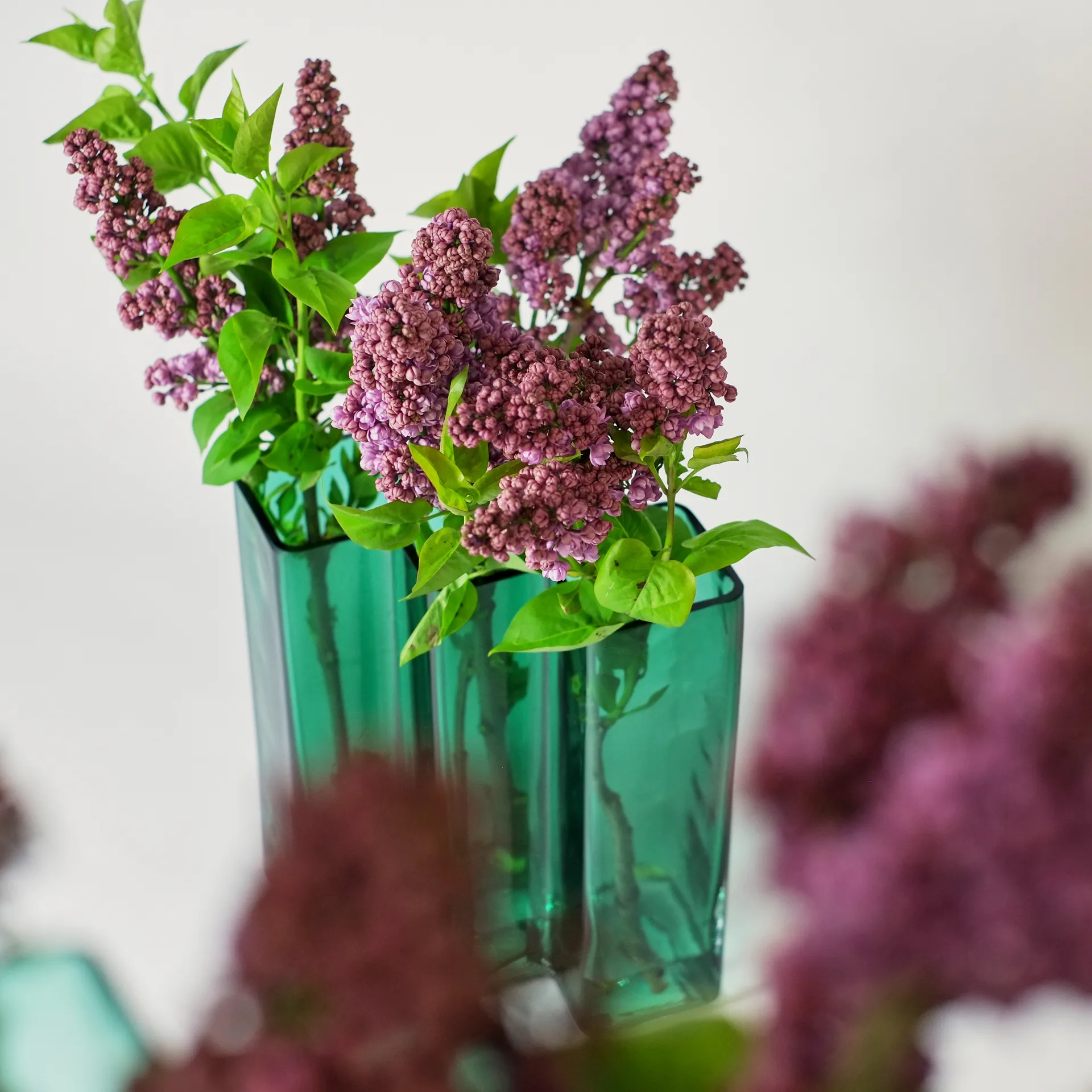 Fileira era três câmaras alta, Verde Born In Sweden