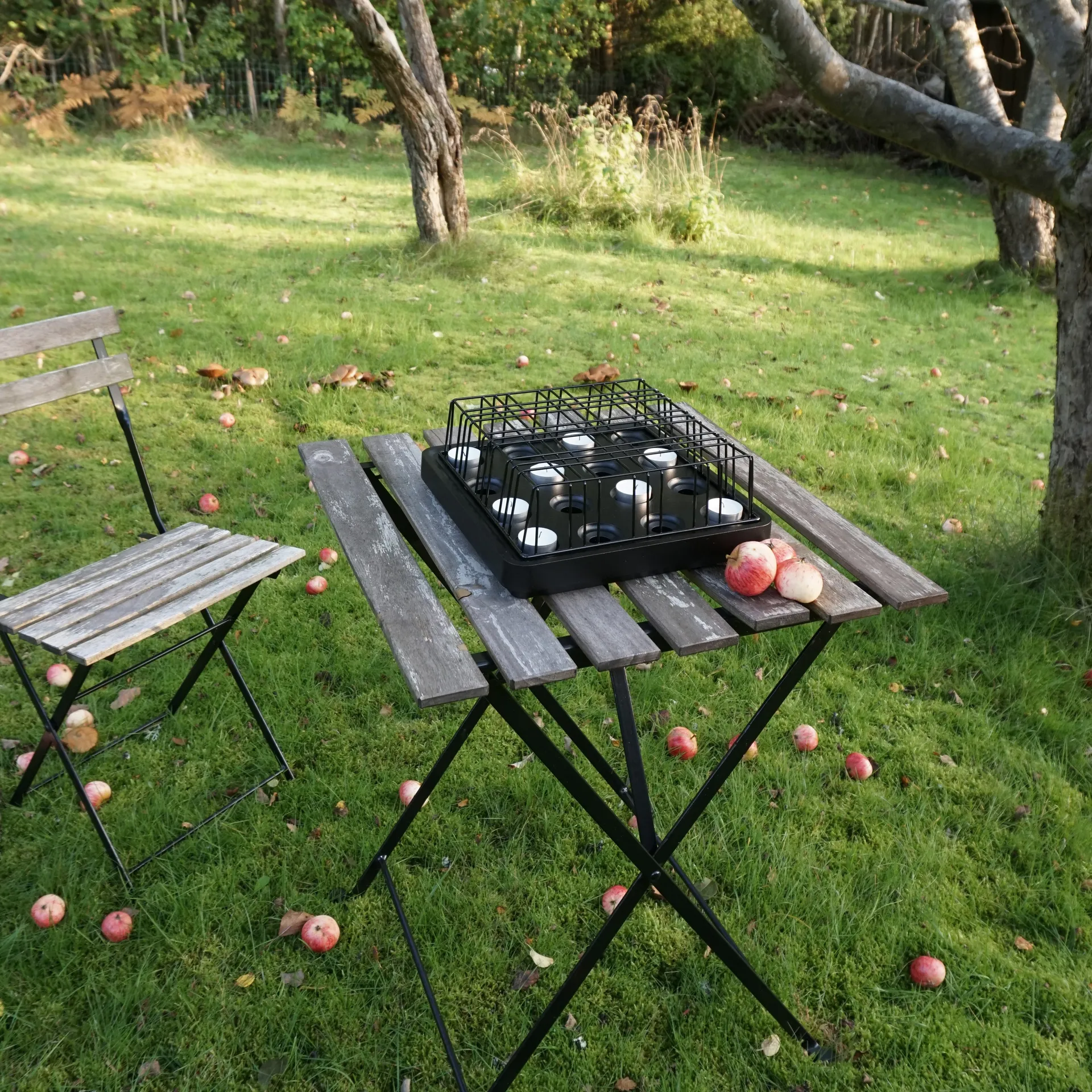 Grelha preta Stumpastaken, Grande Born In Sweden