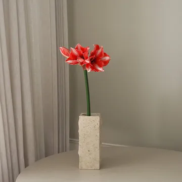 Amaryllis flor artificial - Vermelho-escuro, 72 cm - Botané