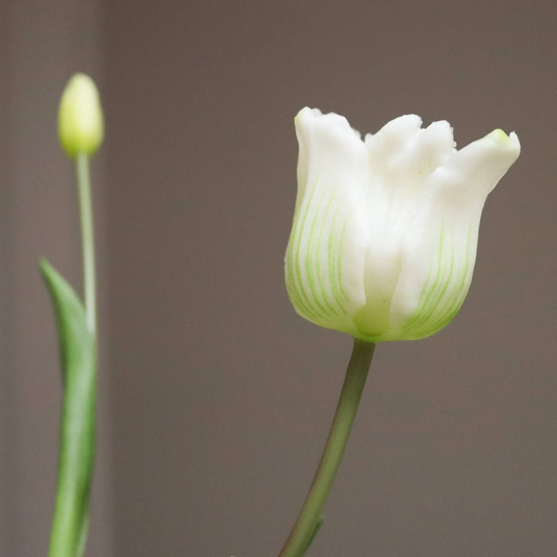 Buquê de tulipas triumph artificiais, Branco, 10 unid. Botané
