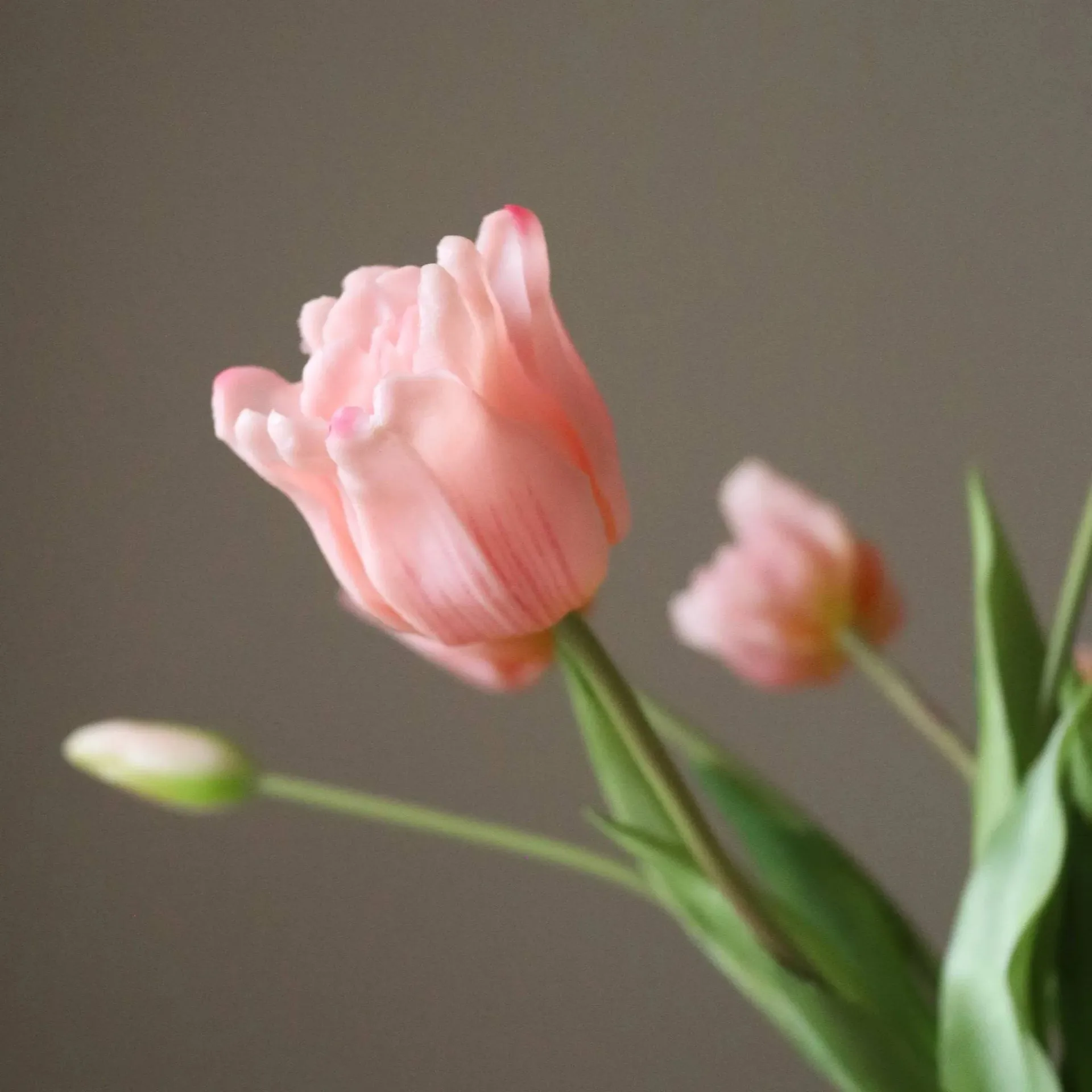 Buquê de tulipas triumph artificiais, Rosa-claro, 10 unid. Botané