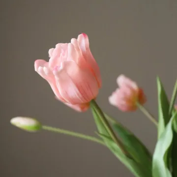 Buquê de tulipas triumph artificiais - Rosa-claro, 10 unid. - Botané