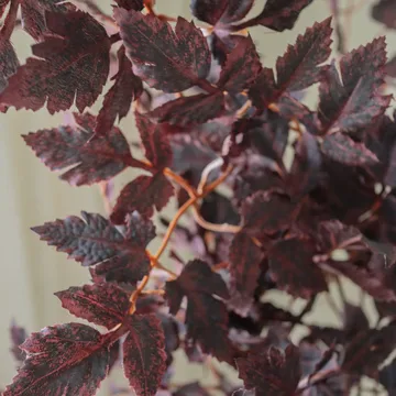 Burgundy Plum Leaves ramo artificial - Vermelho, 85 cm, 1 unid. - Botané