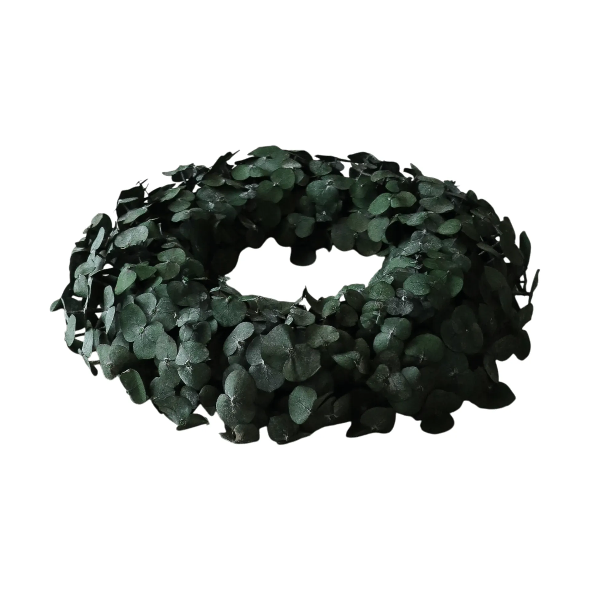 Eucalyptus Wreath coroa, Green, Ø40 cm Botané