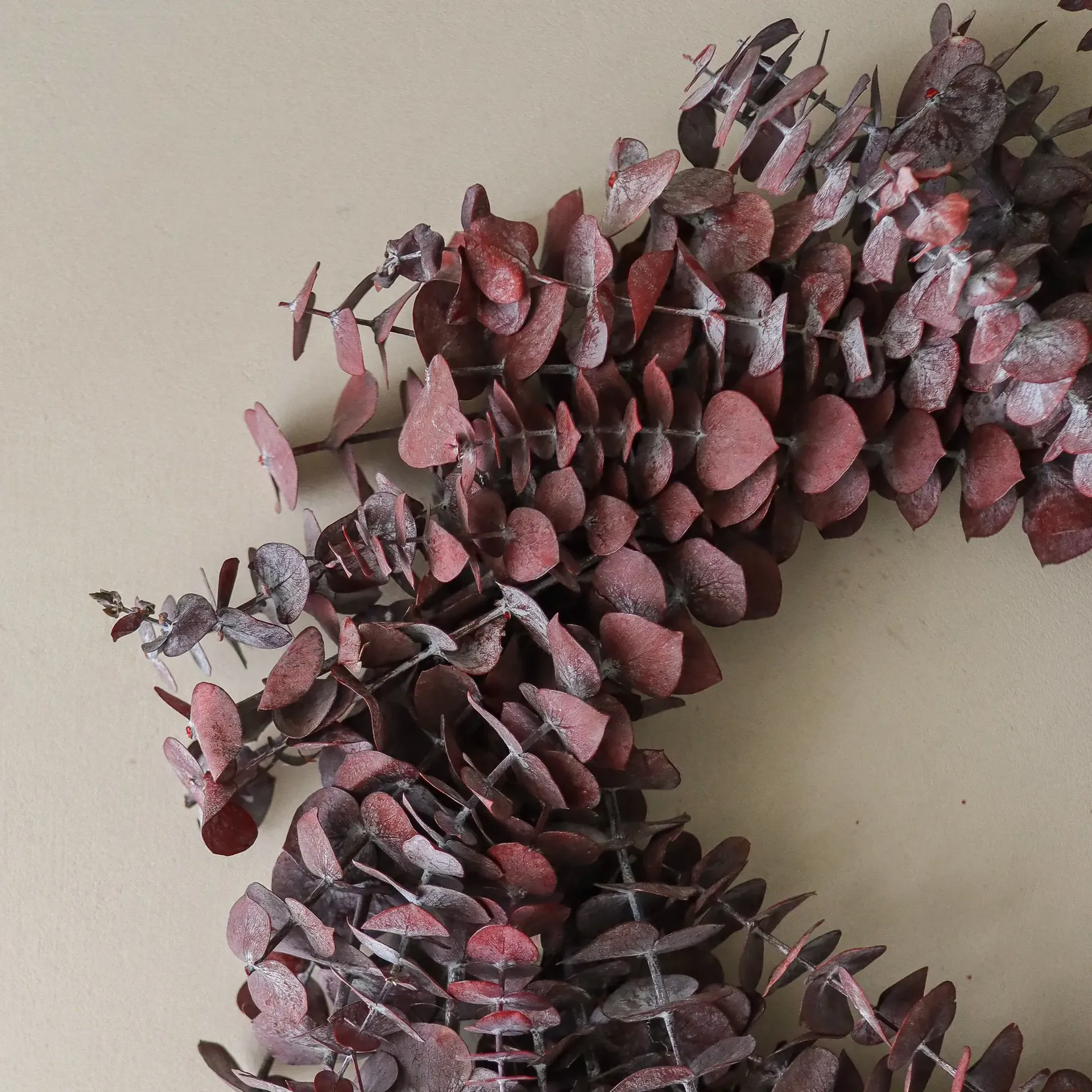 Eucalyptus Wreath coroa, Vermelho escuro, Ø40 cm Botané