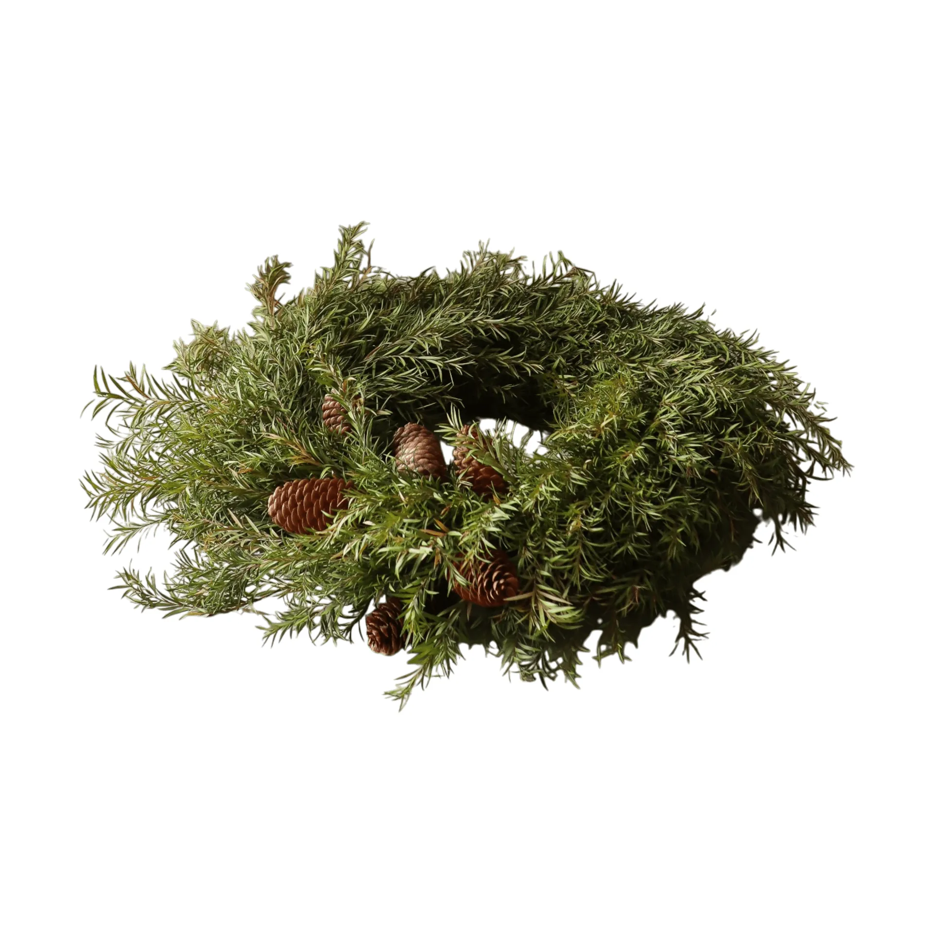 Evergreen Pine Wreath coroa, Ramo de abeto, Ø40 cm Botané