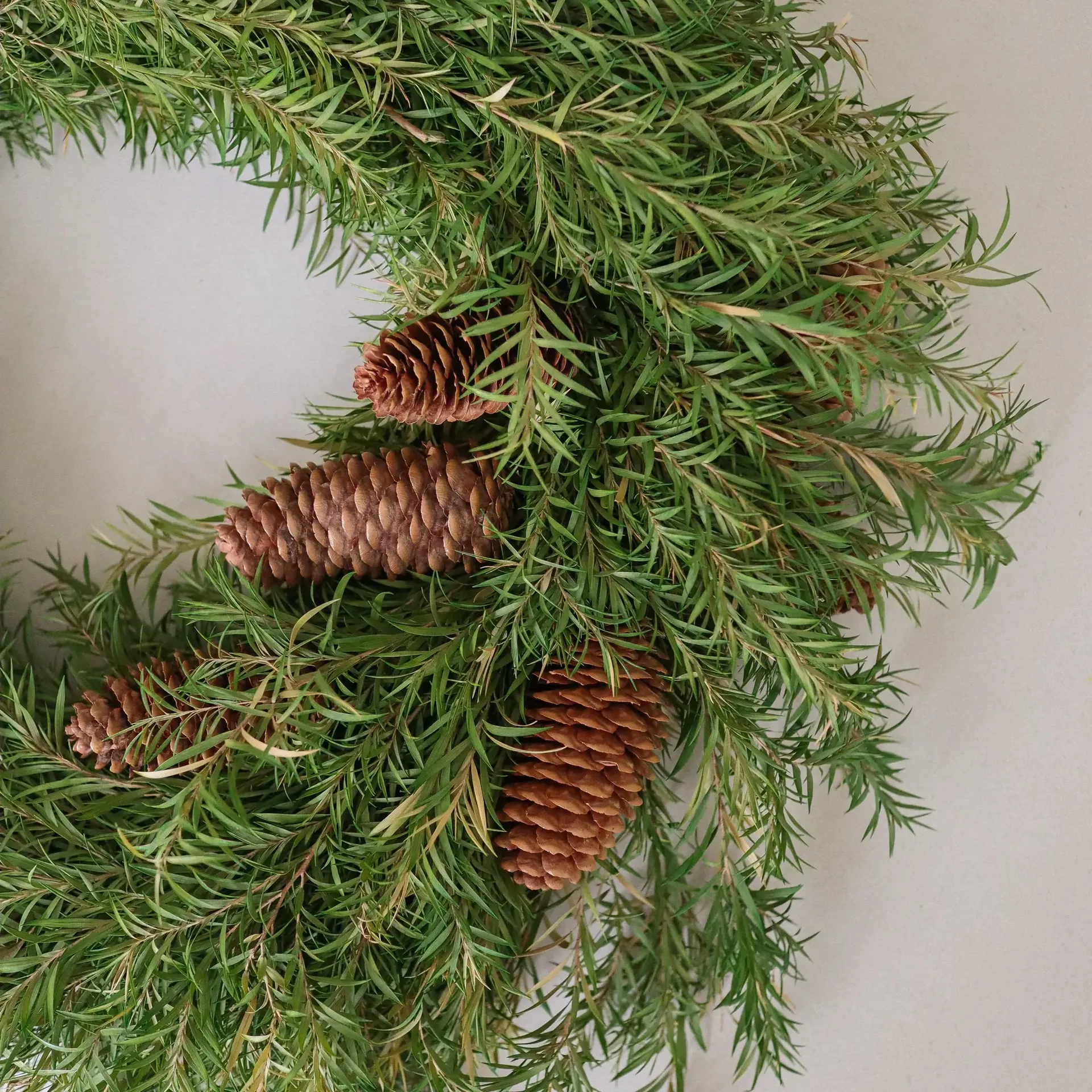 Evergreen Pine Wreath coroa, Ramo de abeto, Ø40 cm Botané