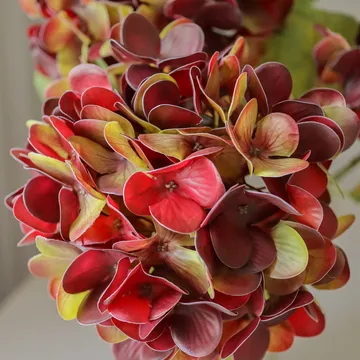 Hortensia flor artificial - Bordeaux profundo, 60 cm, 1 unidade - Botané