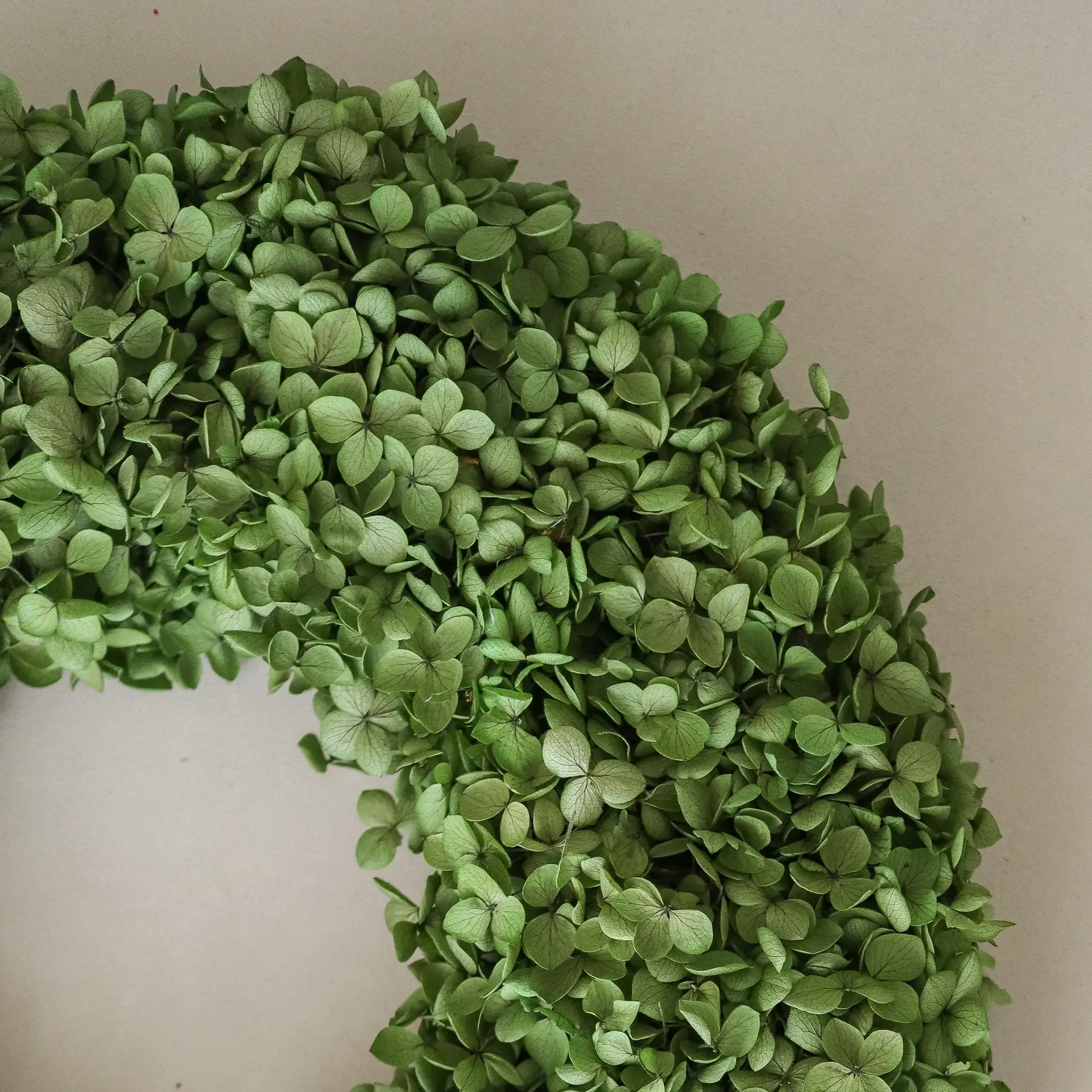Hortensia Wreath grinalda de flores, Green, Ø40 cm Botané