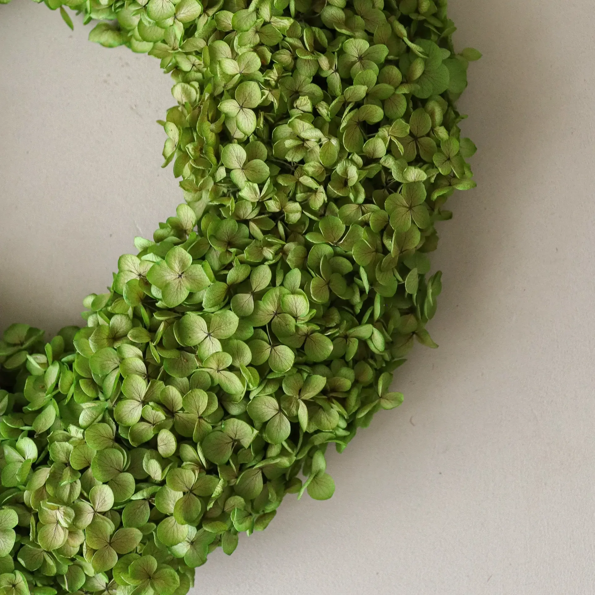 Hortensia Wreath grinalda de flores, Verde-claro, Ø40 cm Botané