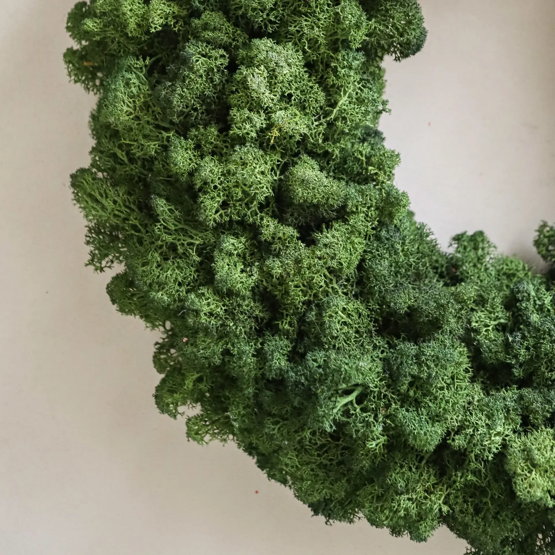Moss Wreath coroa de musgo, Green, Ø40 cm Botané