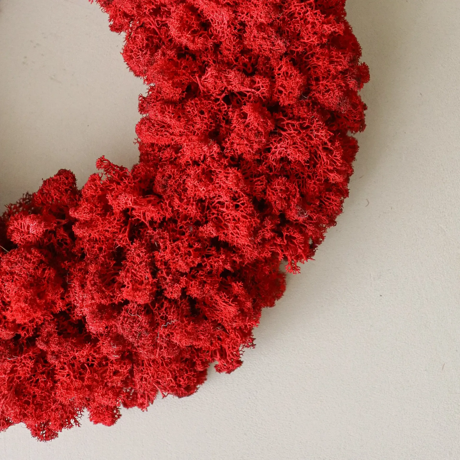 Moss Wreath coroa de musgo, Red, Ø40 cm Botané
