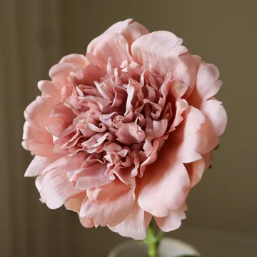 Peónia flor artificial - Rosa dusty, 56 cm, 1 unid. - Botané